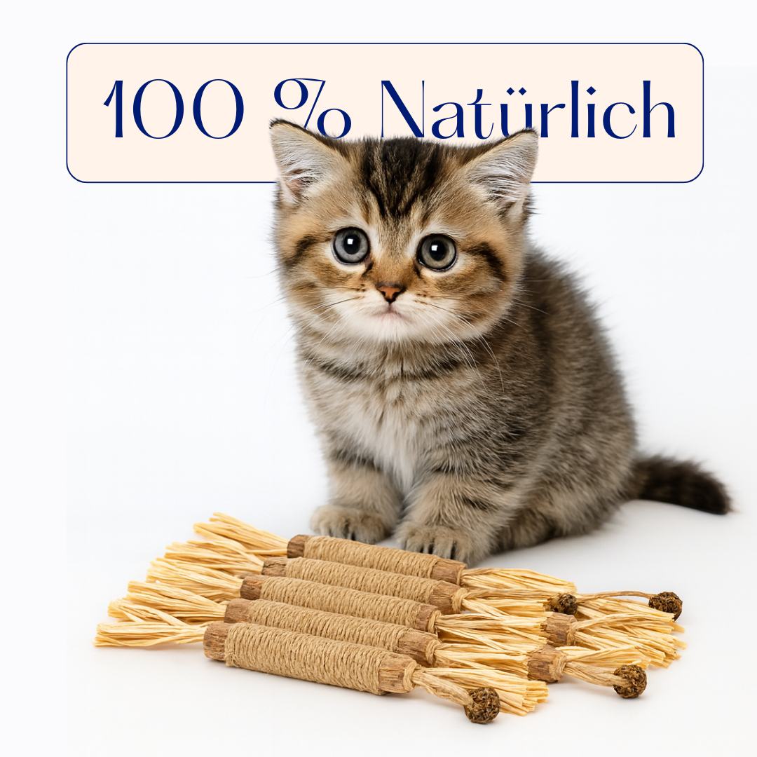 Mialuna natürliche Silvervine-Zahnsticks