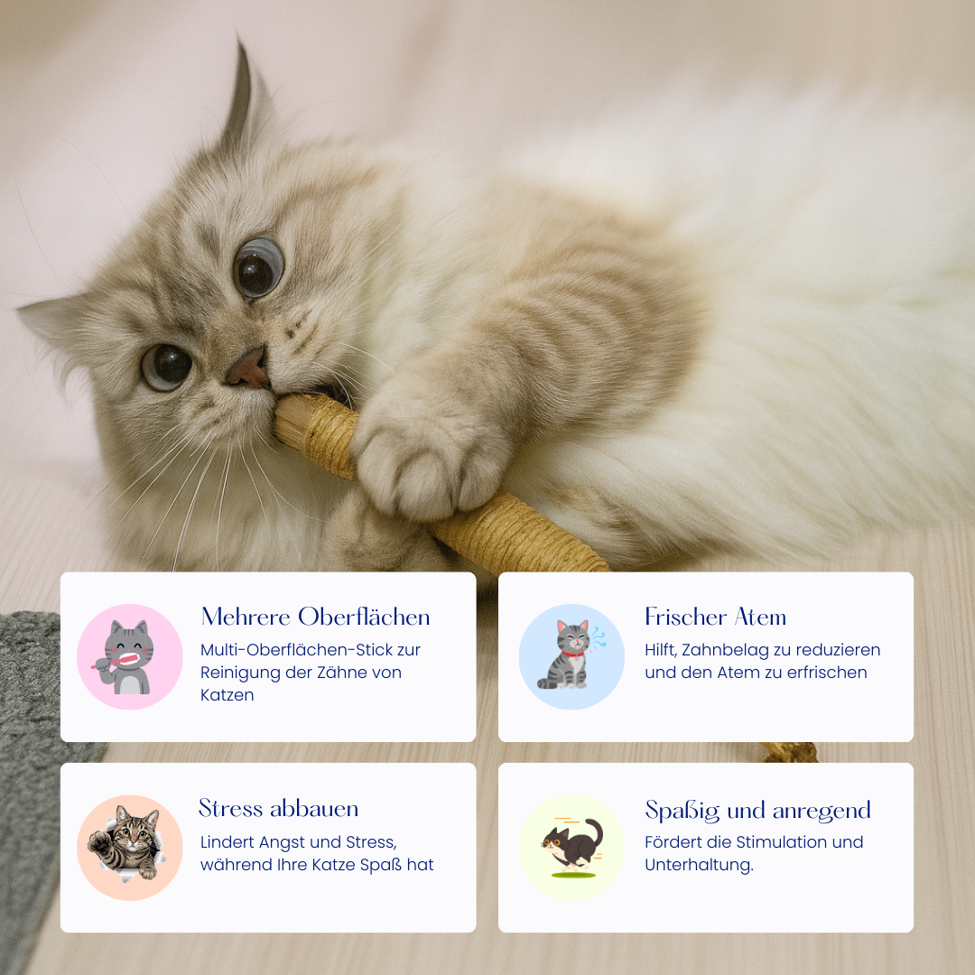 Mialuna natürliche Silvervine-Zahnsticks