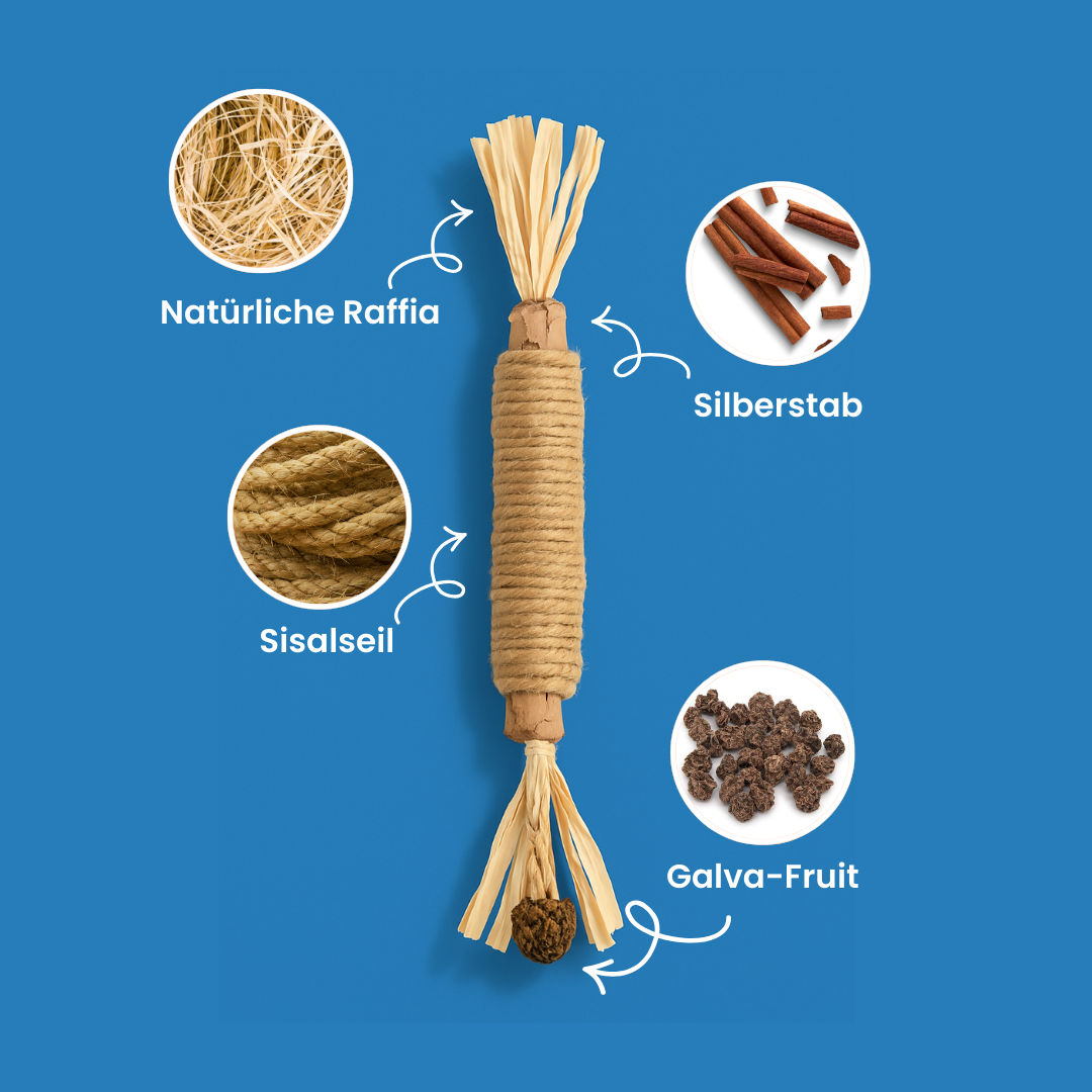 Mialuna natürliche Silvervine-Zahnsticks