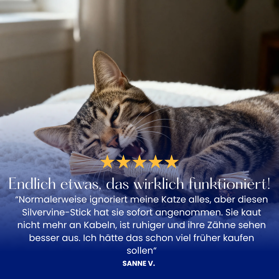 Mialuna natürliche Silvervine-Zahnsticks