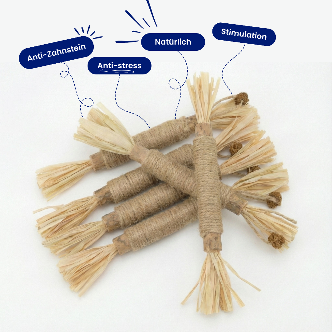 Mialuna natürliche Silvervine-Zahnsticks